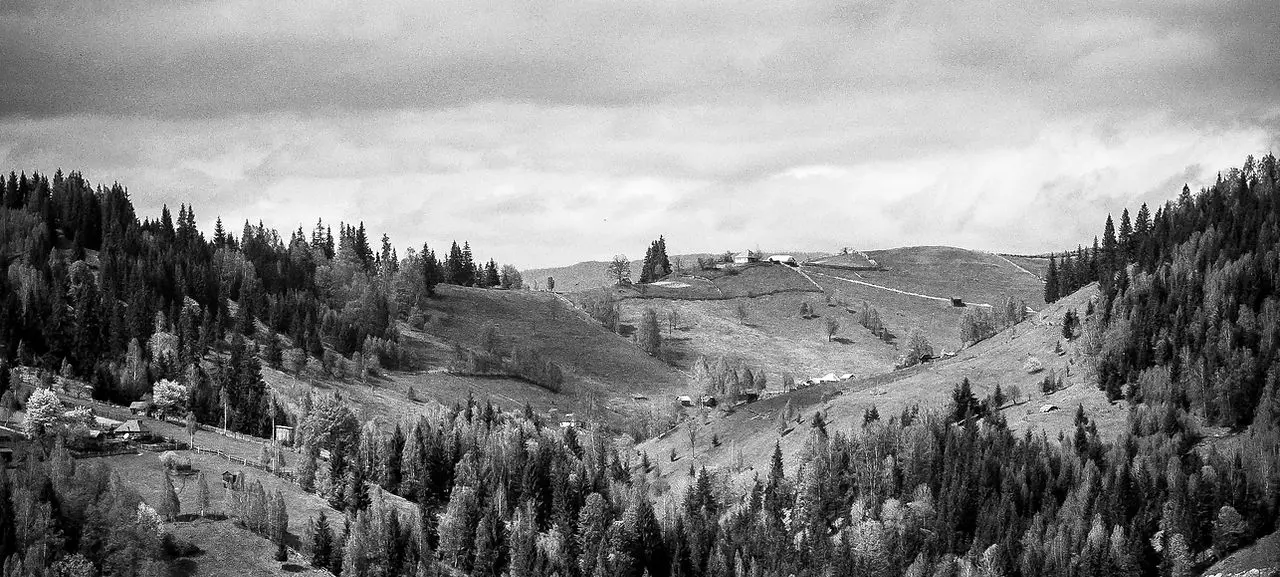 A black and white landscape showing rolling hills with trees and distant small houses.
