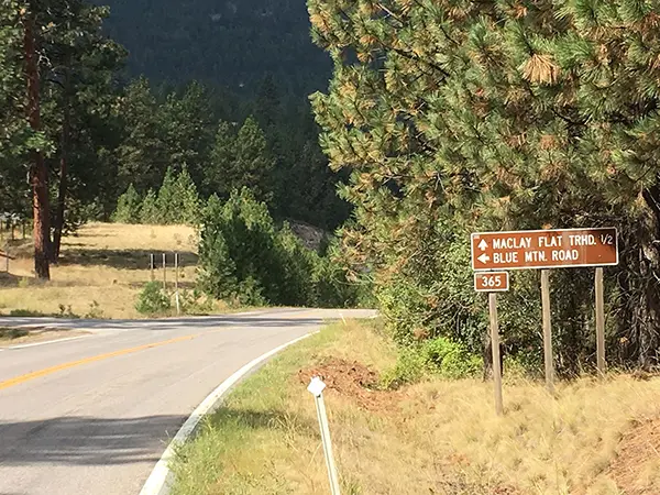 Roadside sign for Maclay Flat Trail and Blue Mountain Road beside a winding rural highway through pine forest.