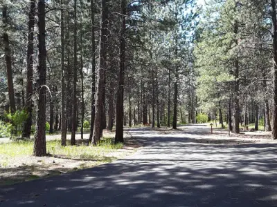 Location of Campsites.