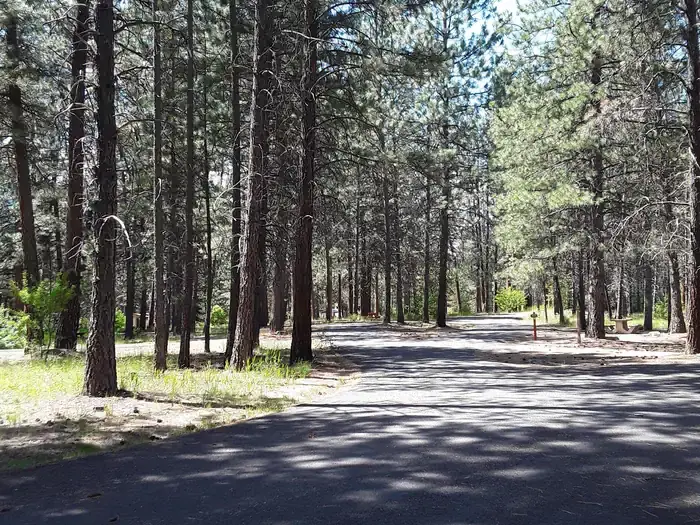 Location of Campsites.
