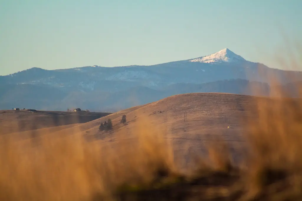 A mountain peak with snow sits behind rolling brown hills at sunset.