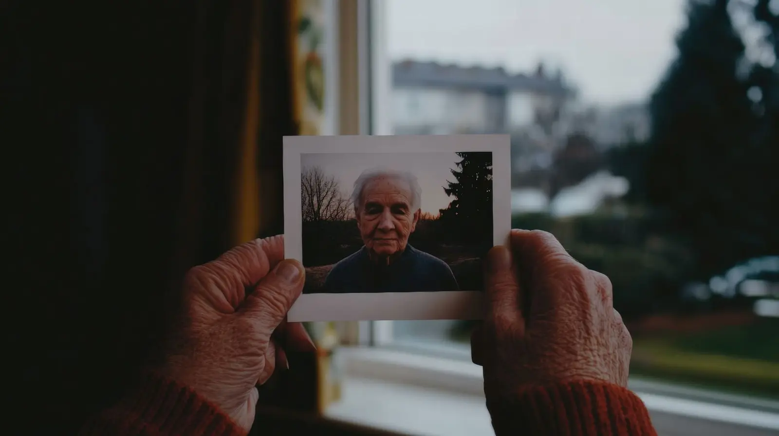 Elderly hands holding old photograph of senior person