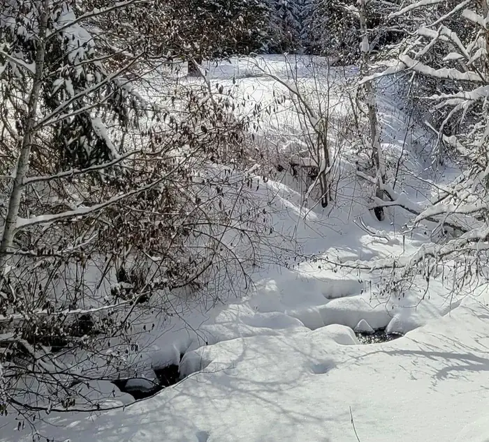 Savenac Creek