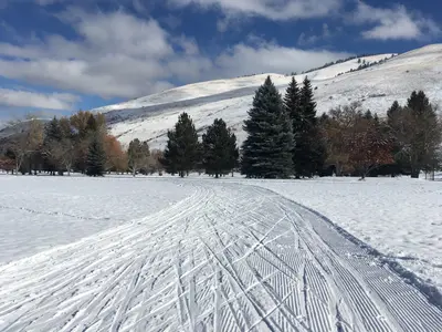 Photo from missoulanordic.org UM Golf Course Grooming Conditions Page