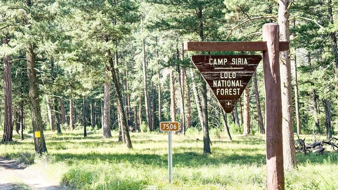 A wooden sign marks a location in a forested area.