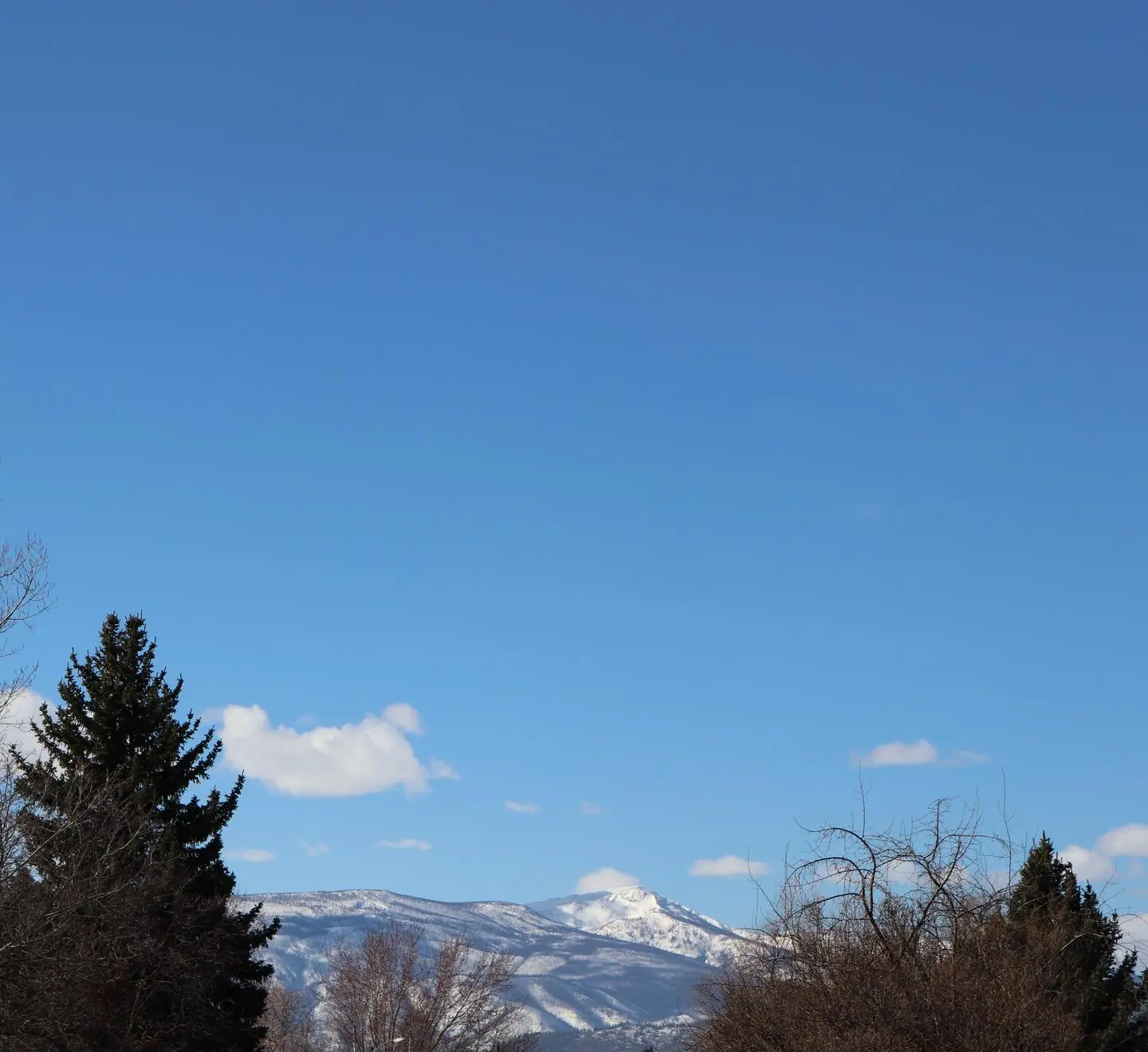 A snowy mountain peak rises against a clear blue sky above a line of trees.