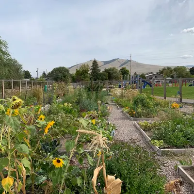 Photo from gardencityharvest.org A community garden with raised beds and sunflowers sits in front of a playground and mountain view.