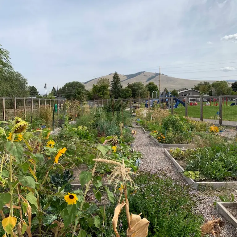 A community garden with raised beds and sunflowers sits in front of a playground and mountain view.