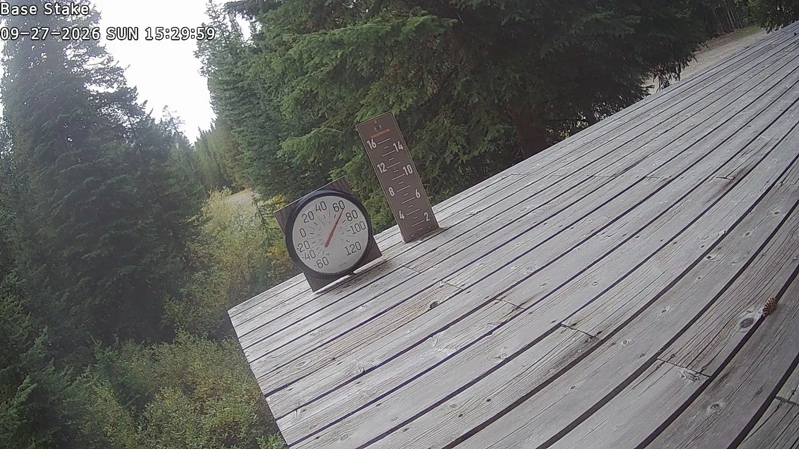 Base Stake webcam image