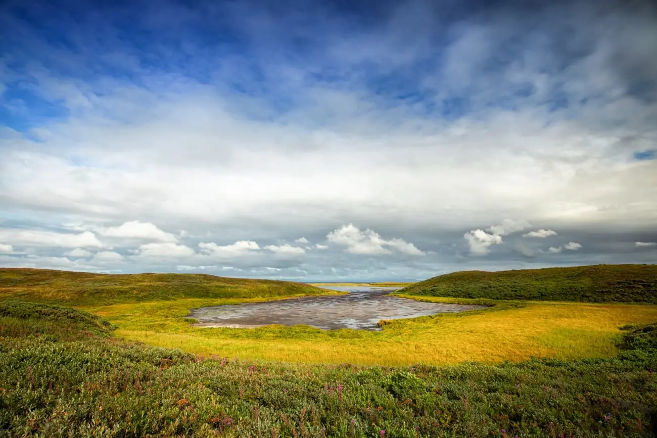 Izembek National Wildlife Refuge