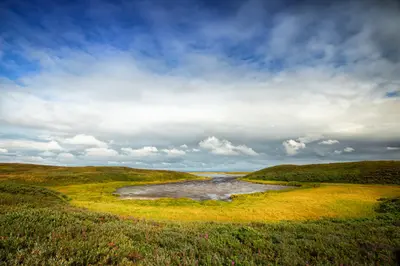Photo from fws.gov Izembek National Wildlife Refuge