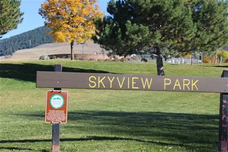 Skyview Park