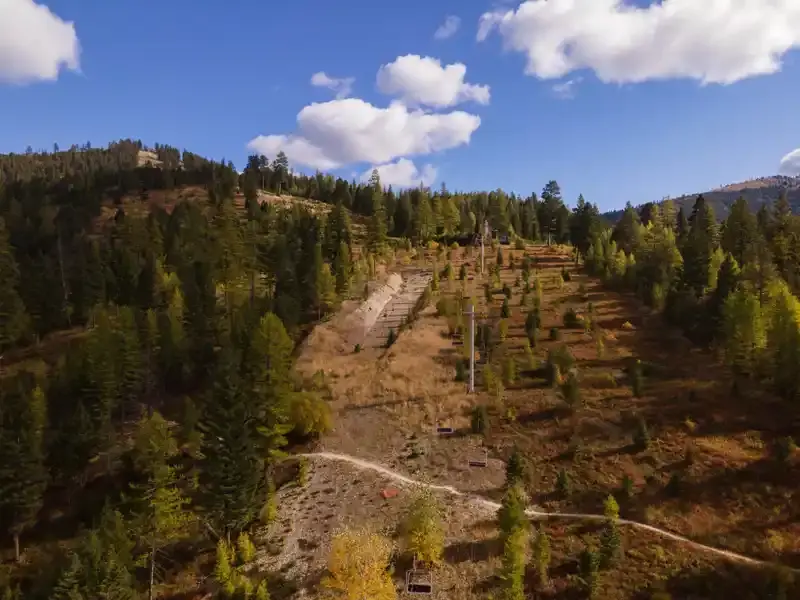 A chairlift travels up a forested hillside on a bright day.