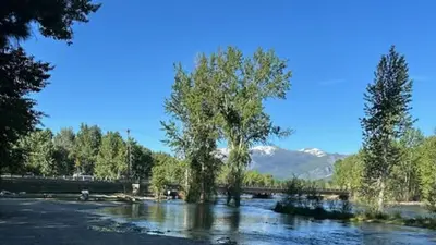 A river flows past trees with a bridge and snow-capped mountains in the background.
