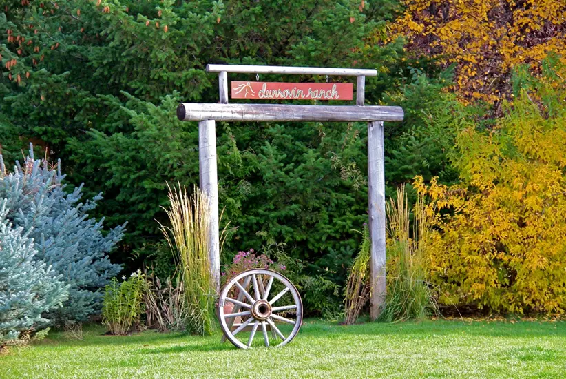 Picture1