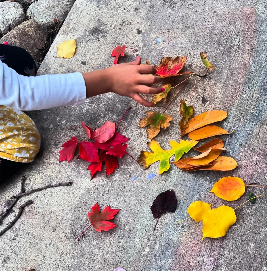 A child reaches for colorful autumn leaves laid out on the ground.