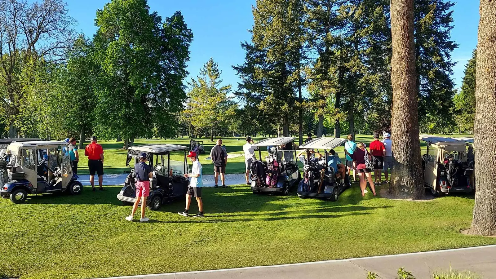 A group of people are gathered on a sunny golf course near several golf carts.