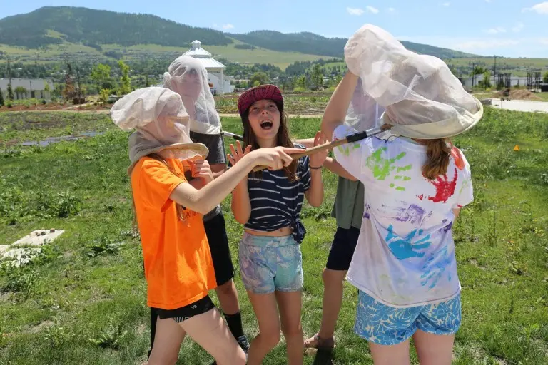 A group of children actively use insect nets while outdoors in a grassy field.