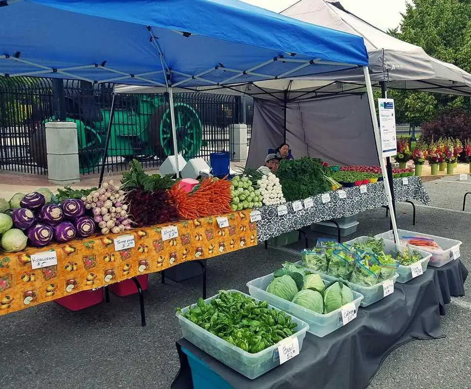 Farmers Market Stand