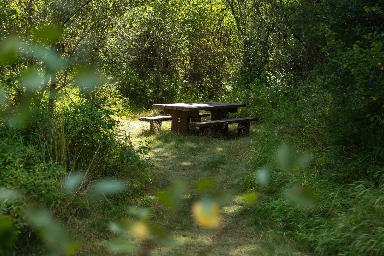 Image of the Lolo Creek picnic and day use area on the Lolo National Forest.