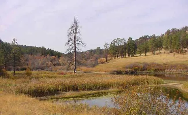 Blacks Pond Picnic Area