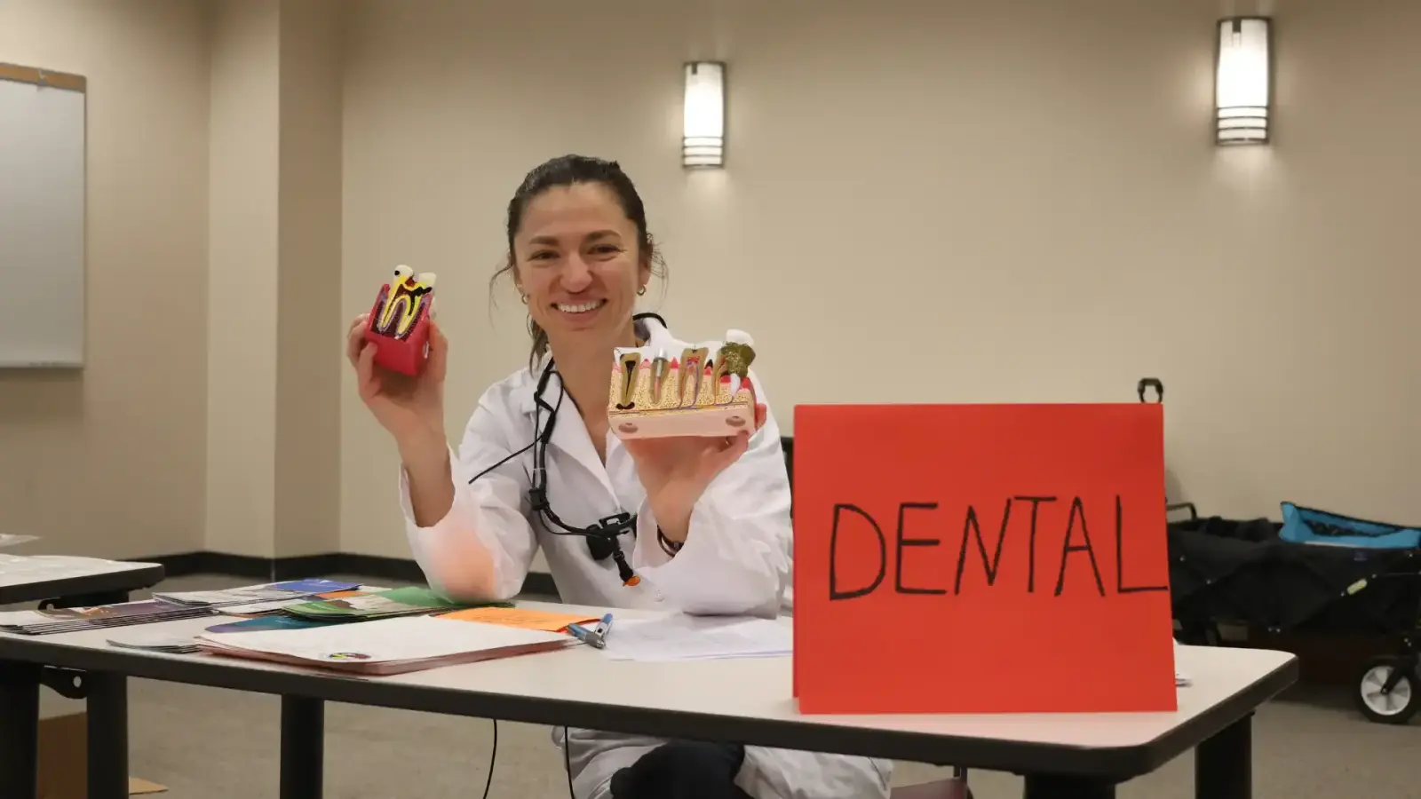 dentist showing teeth models