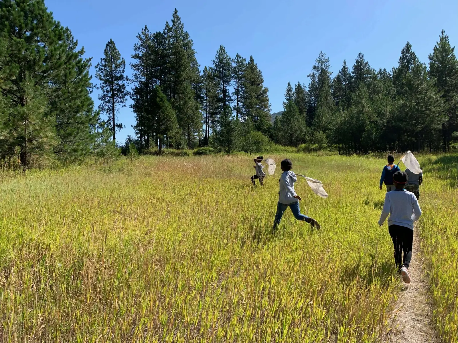 A group of children run through a grassy field while holding butterfly nets.