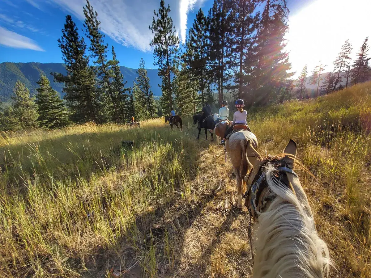 A group of people rides horses along a grassy trail with trees and mountains in the background.