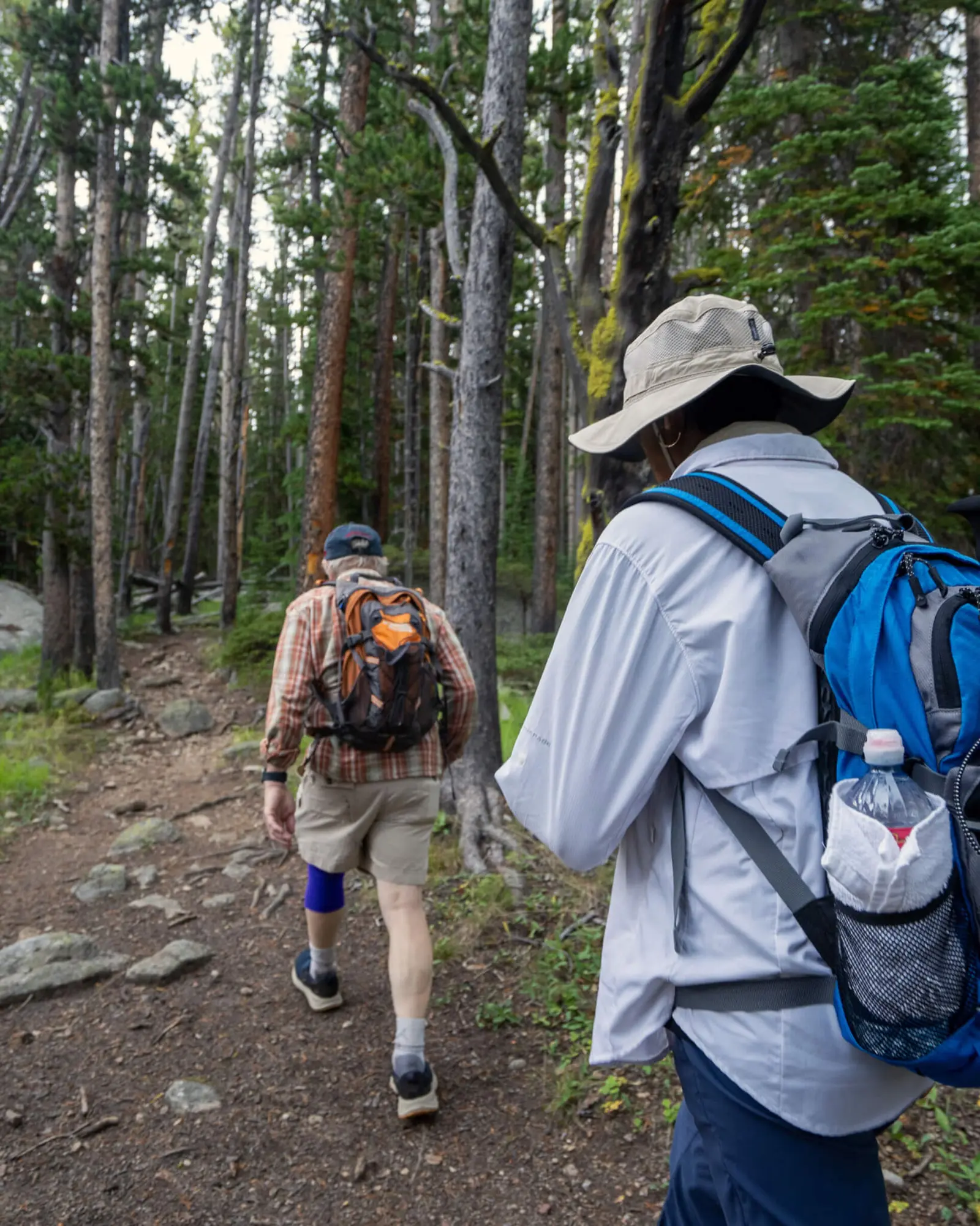 Two people walking down a trail away from the camera