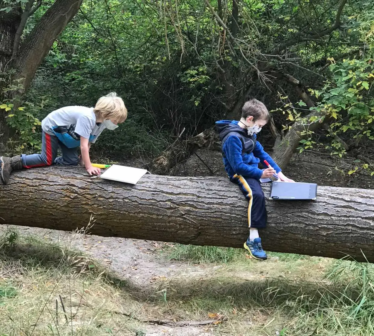 Two children wearing masks sit on a fallen log in a wooded area working on notebooks.