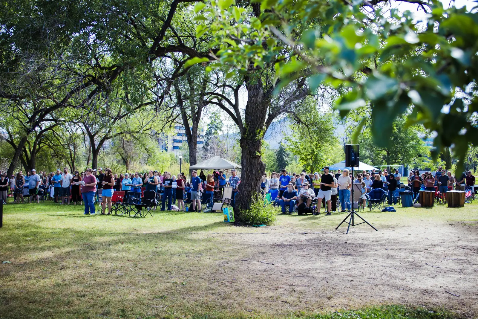 A large group of people gather in a grassy park for an outdoor event.