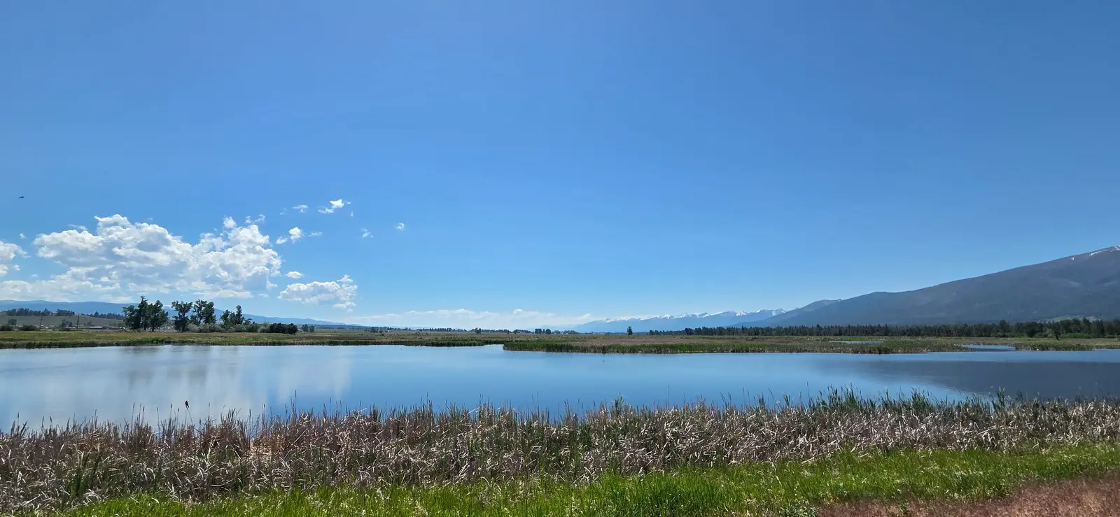 A scenic view of a quiet lake surrounded by marshland and mountains under a clear sky.