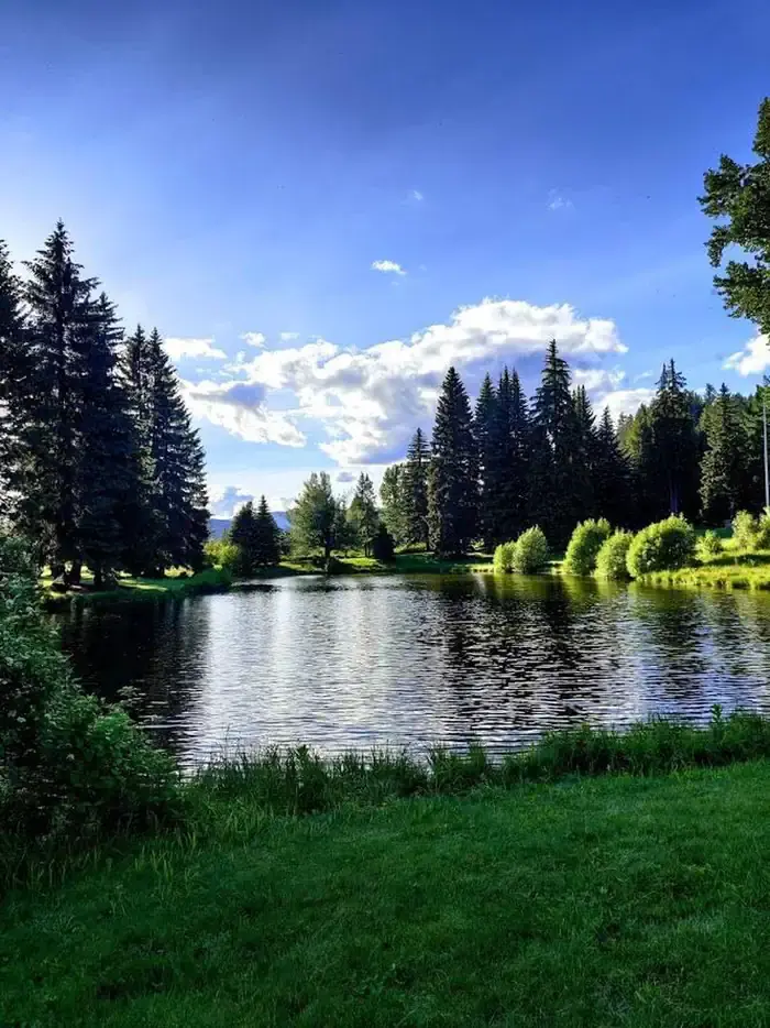 Savenac Pond in Front
