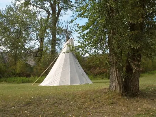 A white tipi stands in a grassy clearing surrounded by trees.