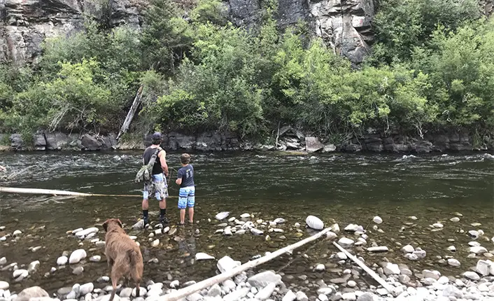 An adult and a child are fly fishing in a river with a dog standing on the rocky bank.