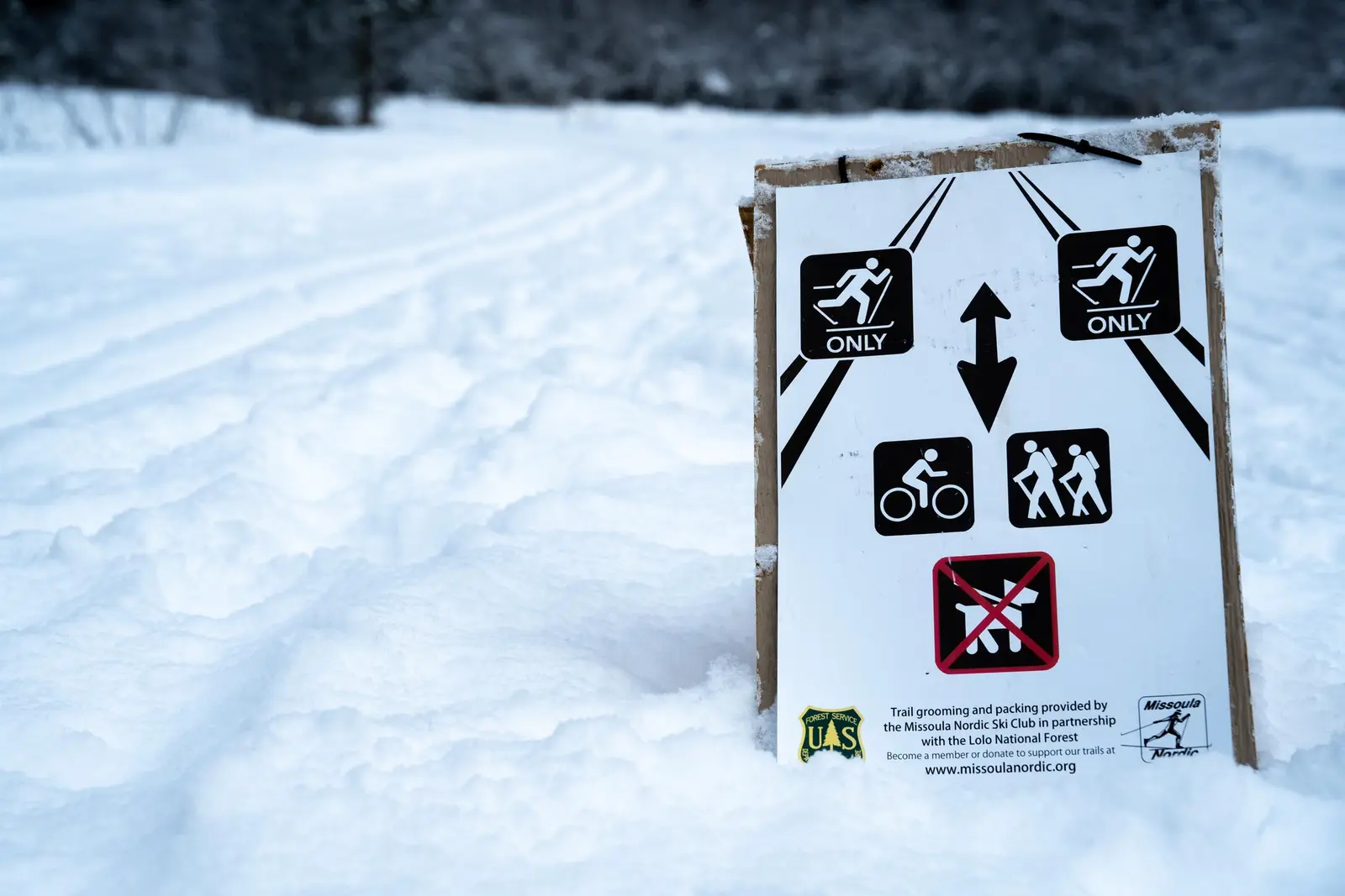 Image of the Nordic Ski Trails at the Rattlesnake National Recreation Area.