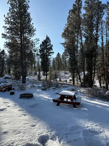 A picnic table and fire ring sit in a snowy outdoor area surrounded by pine trees.