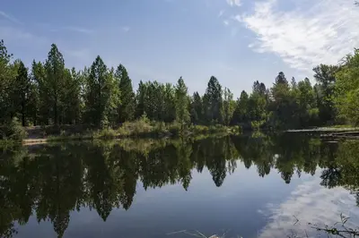Photo from missoulacountyvoice.com A calm pond is surrounded by a dense forest of evergreen and deciduous trees.