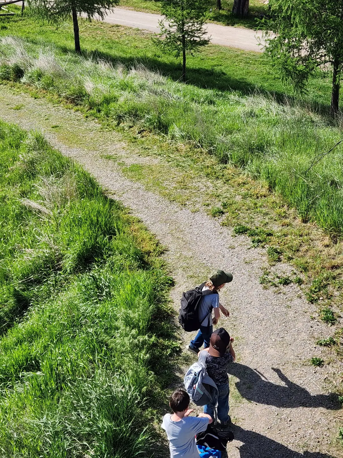 Three children walk along a dirt path through a grassy field.