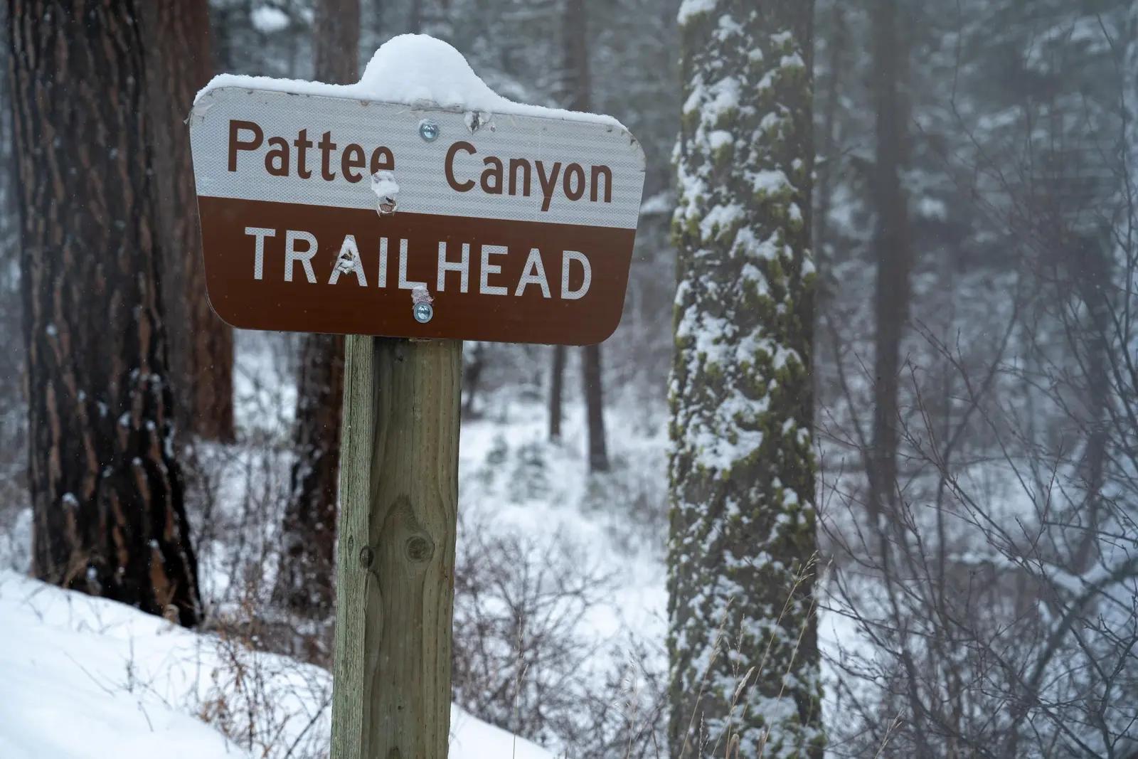 Image of Pattee Canyon Recreation Area sign in the wintertime.
