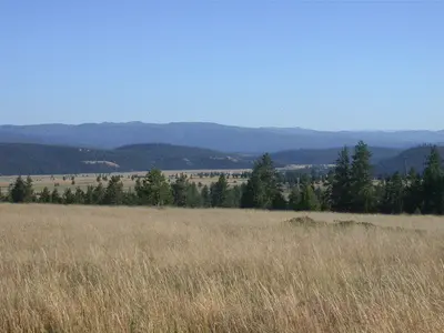 Photo from myfwp.mt.gov Blackfoot-Clearwater
