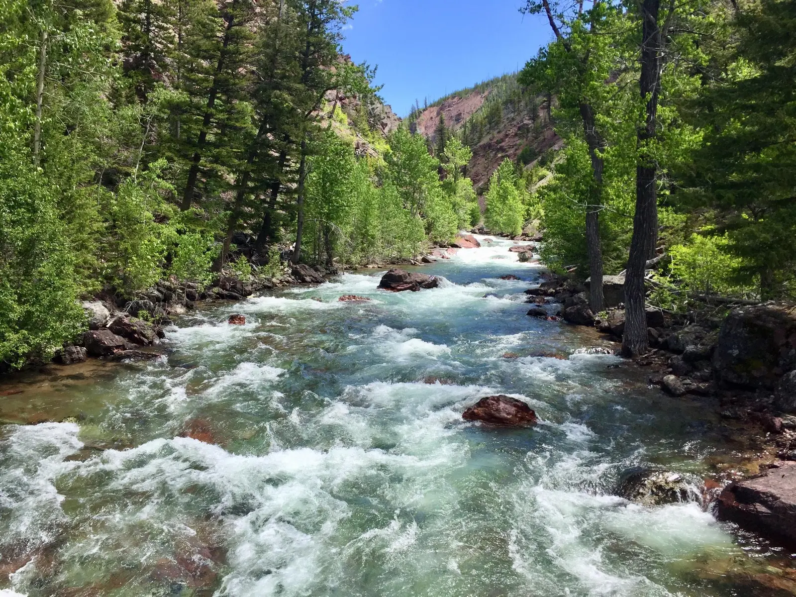 A rushing stream flows through a forested canyon with rocky banks under a blue sky.
