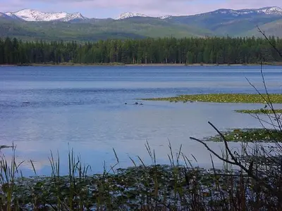 Photo from fs.usda.gov A view of a mountain lake with lily pads and snow-capped peaks in the background.