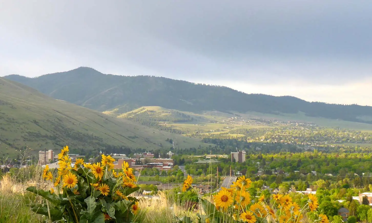 A scenic view of a town nestled in a valley before mountains, framed by yellow wildflowers in the foreground.