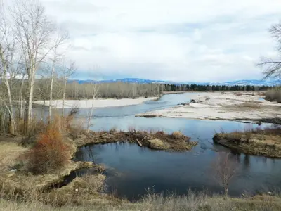 Bass Creek