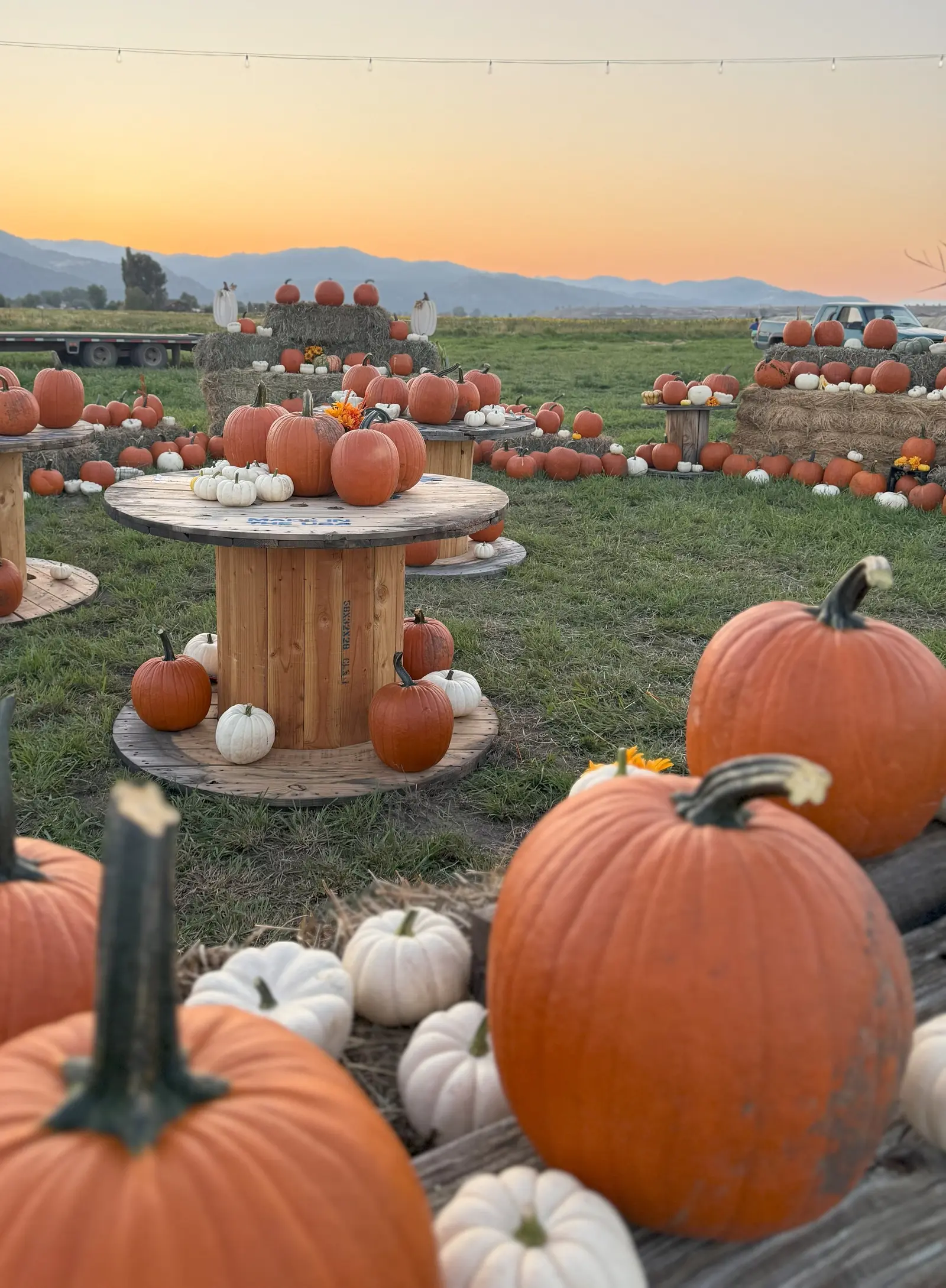 Missoula Fall Fest Pumpkin Patch