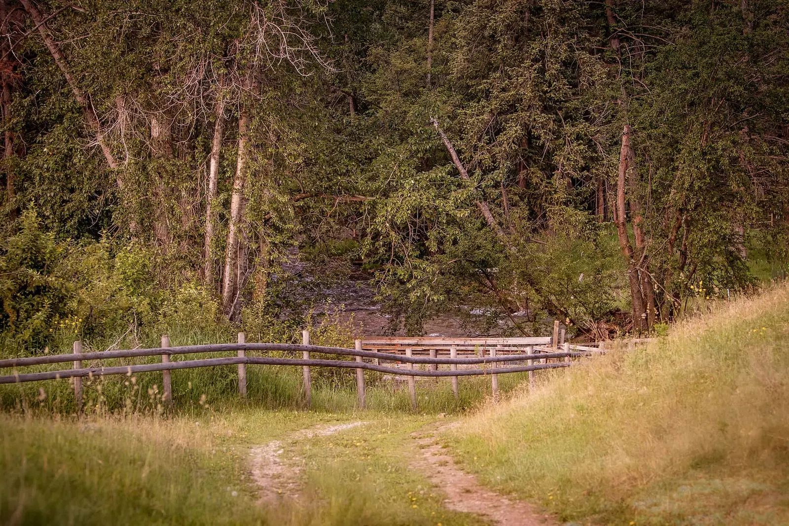 Image of the land