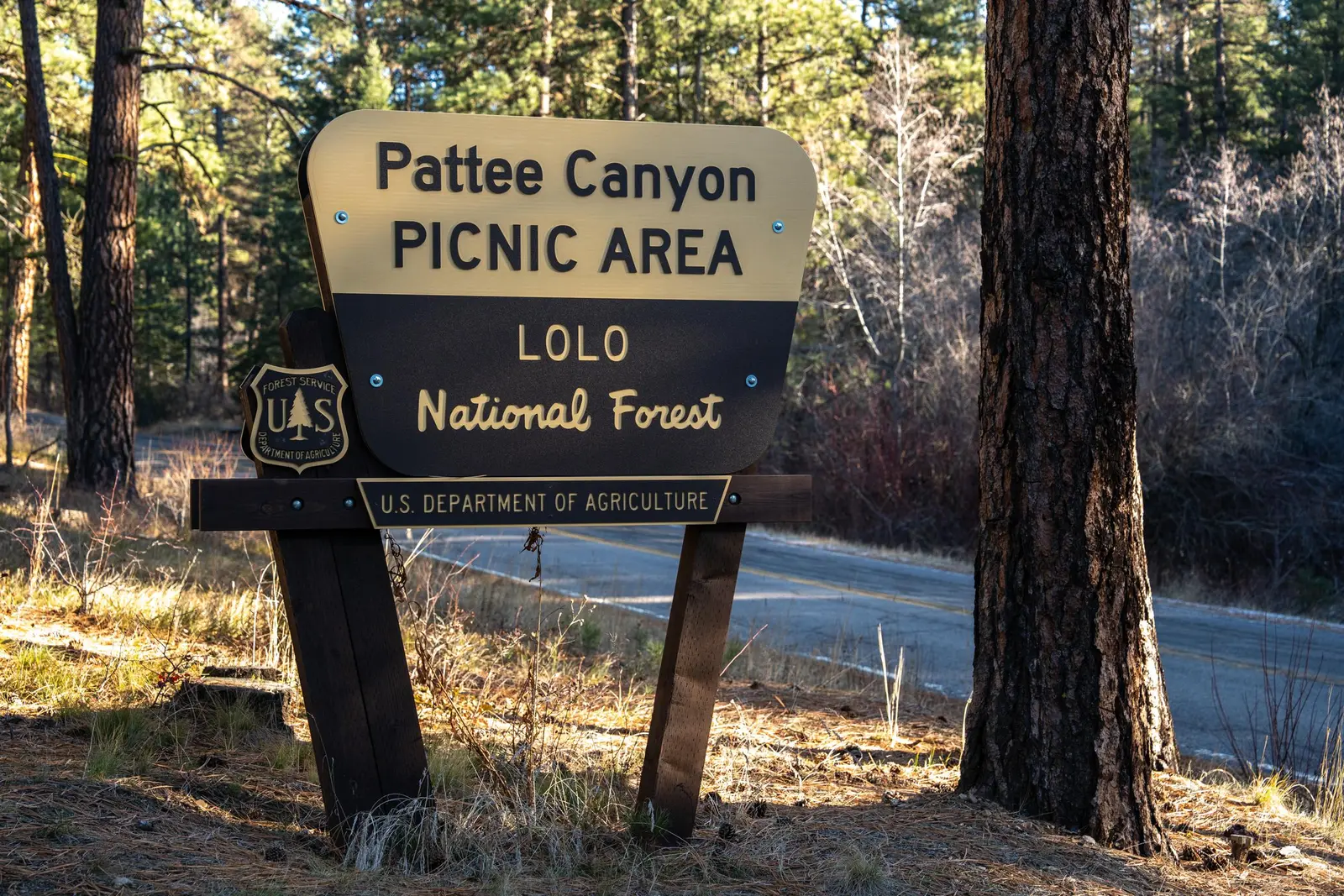 Image of the Pattee Canyon Pavillion and Picnic Area sign on the Lolo National Forest, Montana.