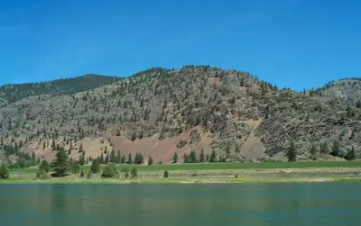Photo from myfwp.mt.gov Full Curl