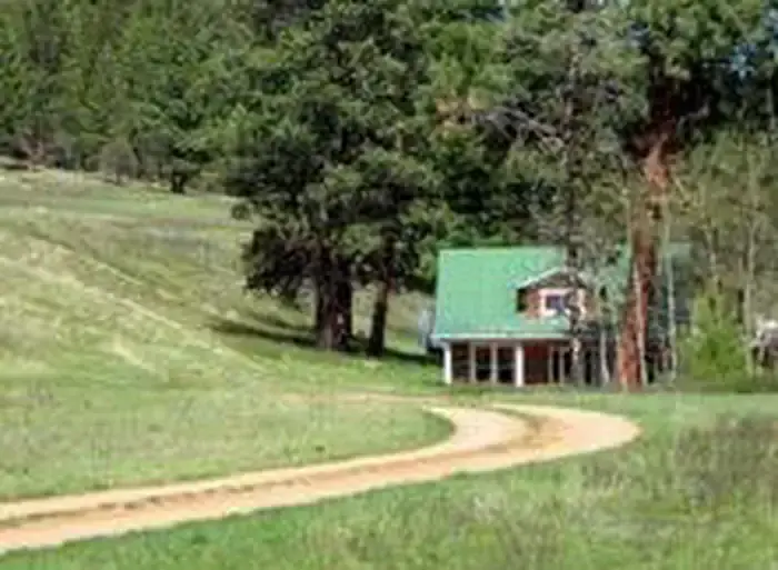 A house with a green roof sits in a grassy clearing with a dirt path leading to it.